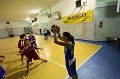 Basket 443075